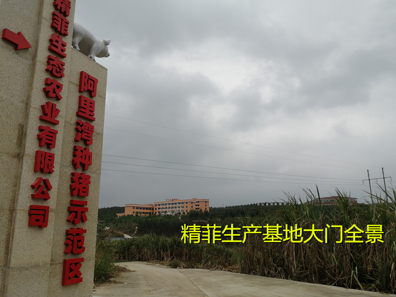 精菲出产基地大门全景图_副本